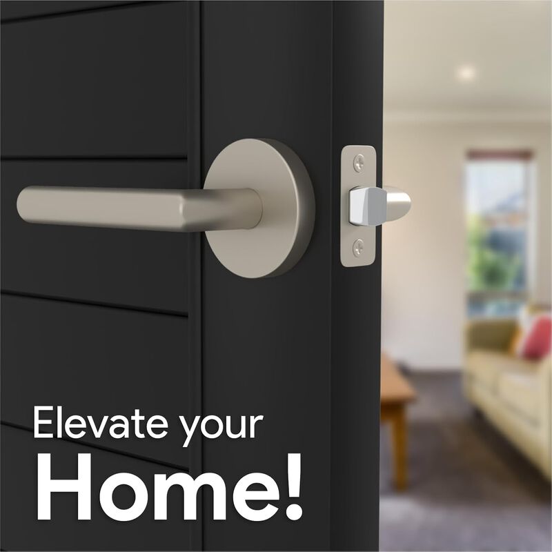 Mega Handles | Ronn Passage Lever