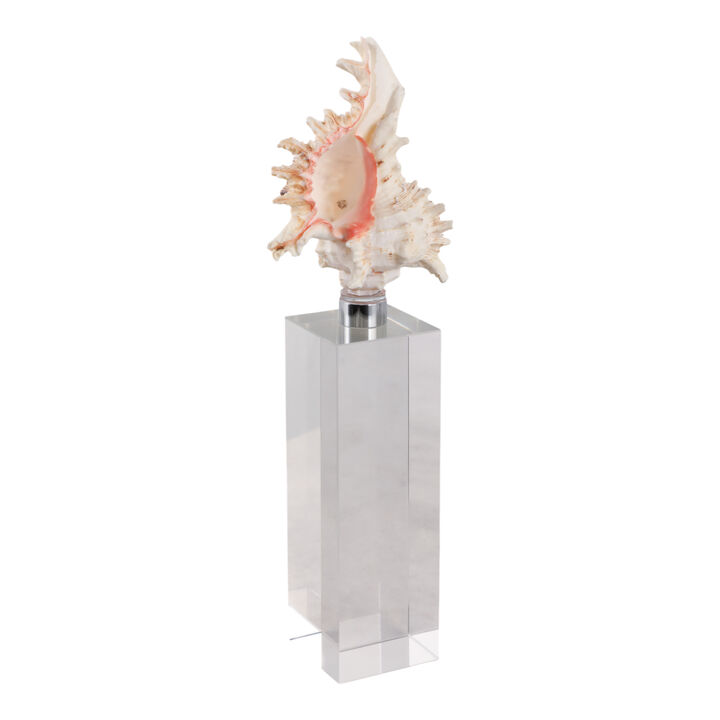 Shell on Crystal Base