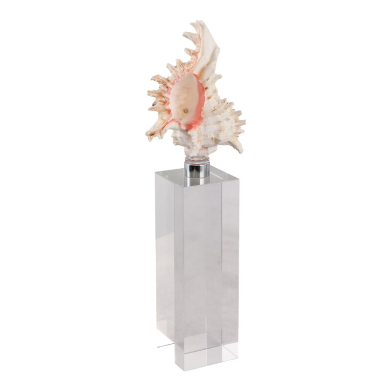 Shell on Crystal Base image number 1