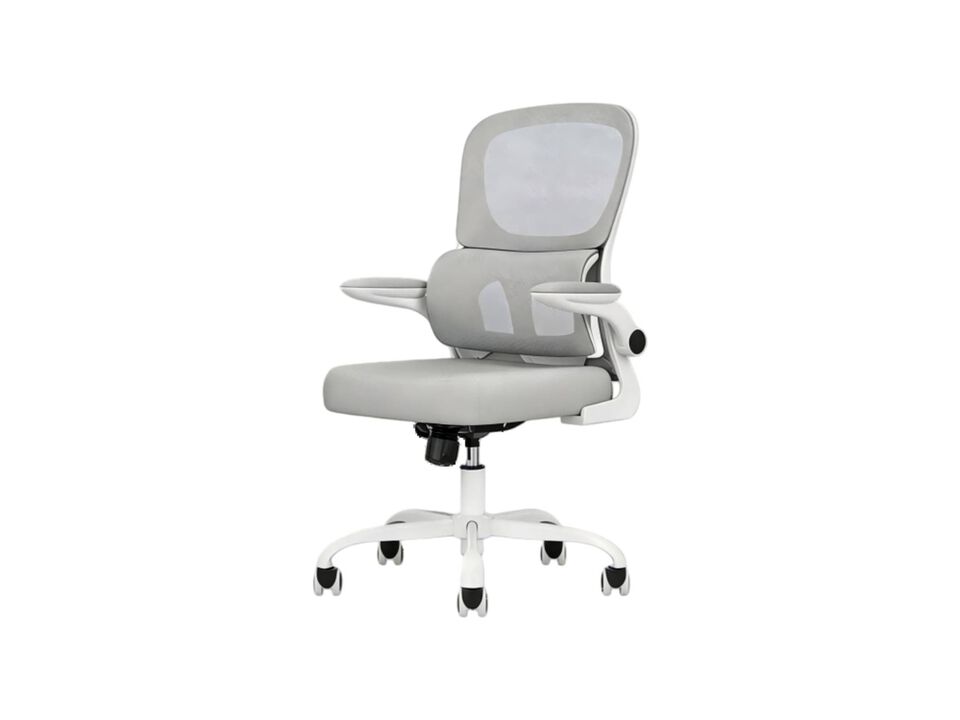 Petrimins Layered-Back Office Chair with Lumbar Support, Adjustable Height, Back Pain Friendly Task Chair with Flip-Up Armrests for Home, Office