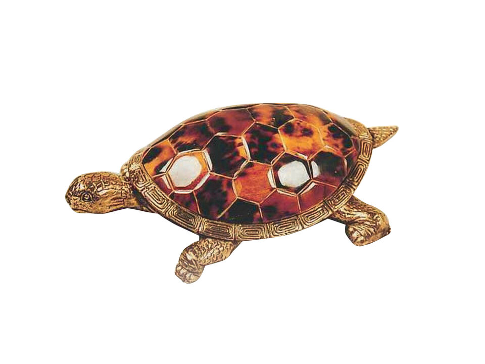 Young Turtle Accessory