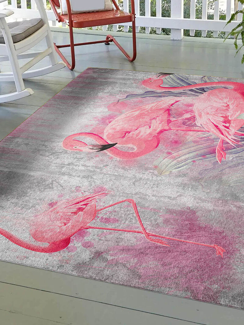 Tropics TC2 Collection