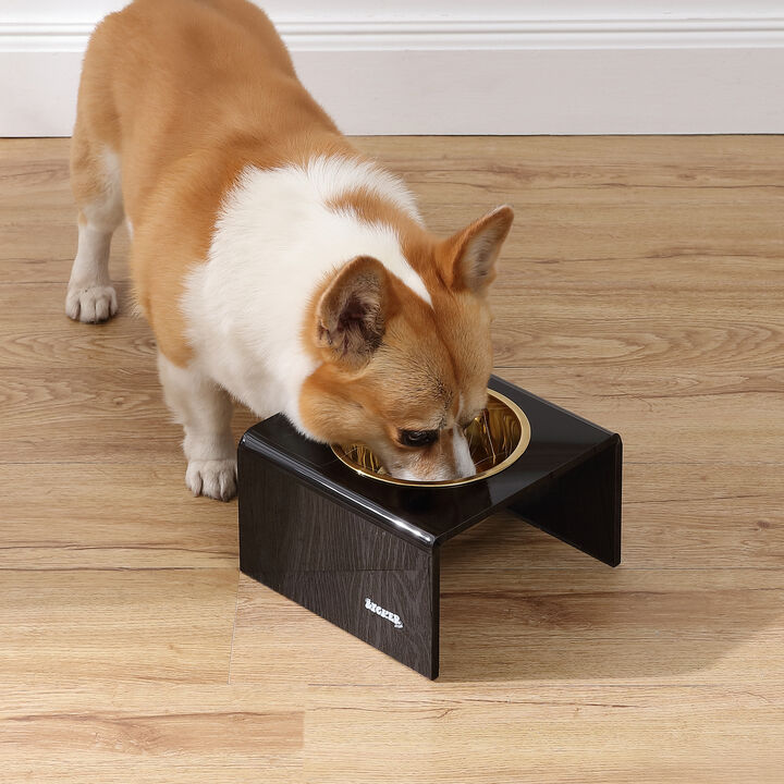 Keaton Modern Acrylic Rectangular Elevated Pet Feeder with Stainless Steel Bowls