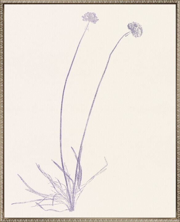 Floral Trace IV