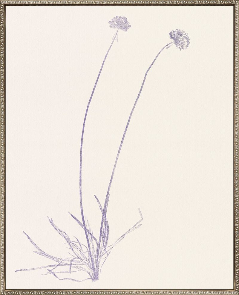 Floral Trace IV image number 0