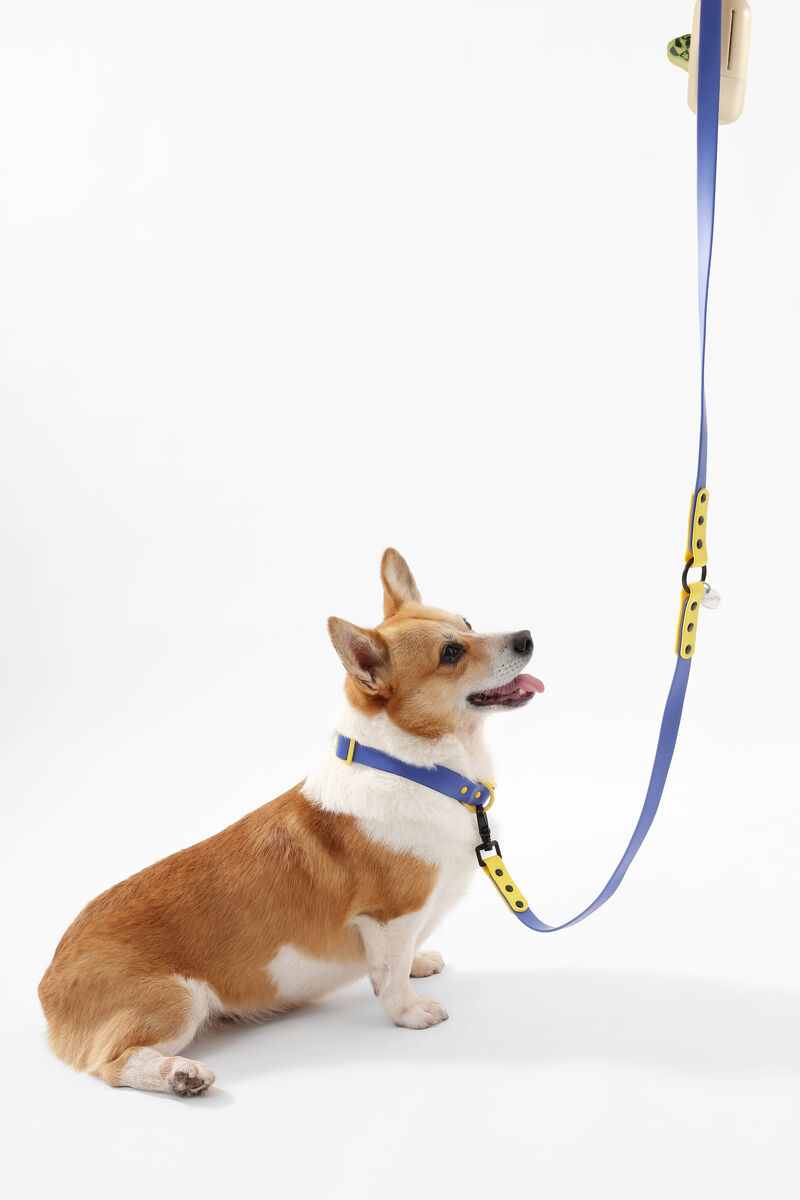 Luna  Adjustable 6-in-1 Waterproof Hands-Free Leash and Collar with LED Flashlight