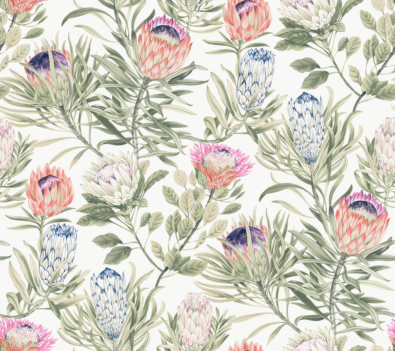 Protea White & Fuchsia Wallpaper