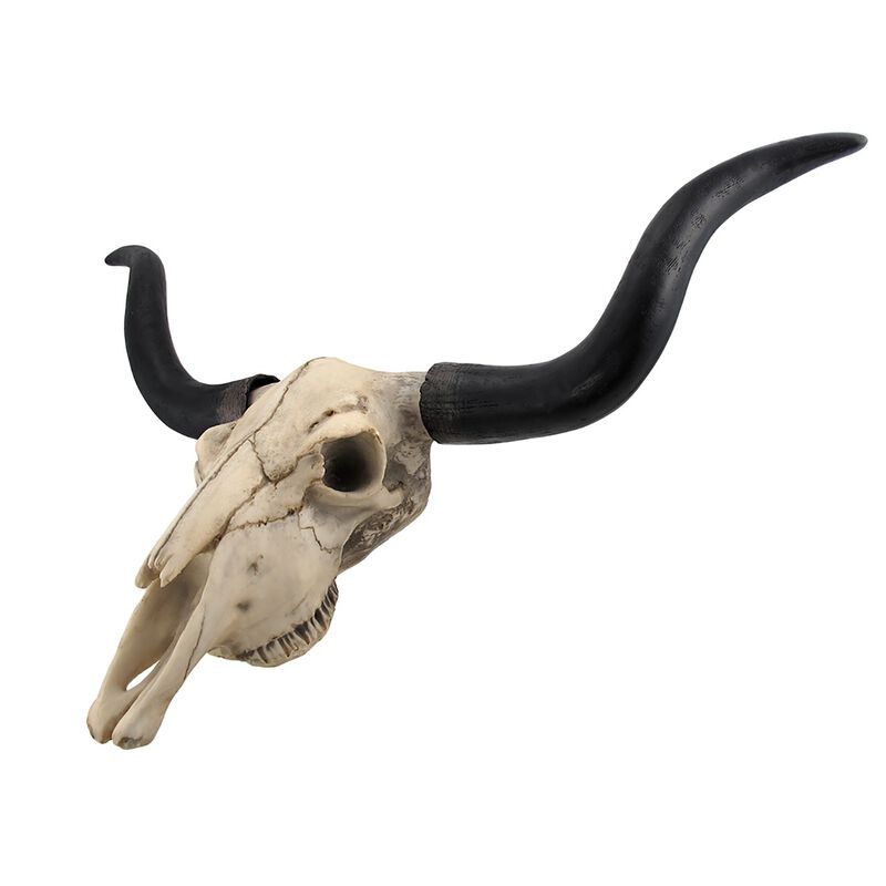 Huge Wall Hanging Longhorn Cow Skull 27in Wide Resin Long Horn Steer Wall Decor image number 3