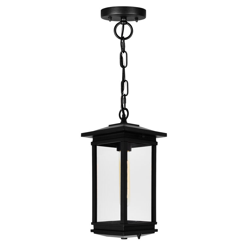 Oakwood 1 Light Outdoor Black Pendant