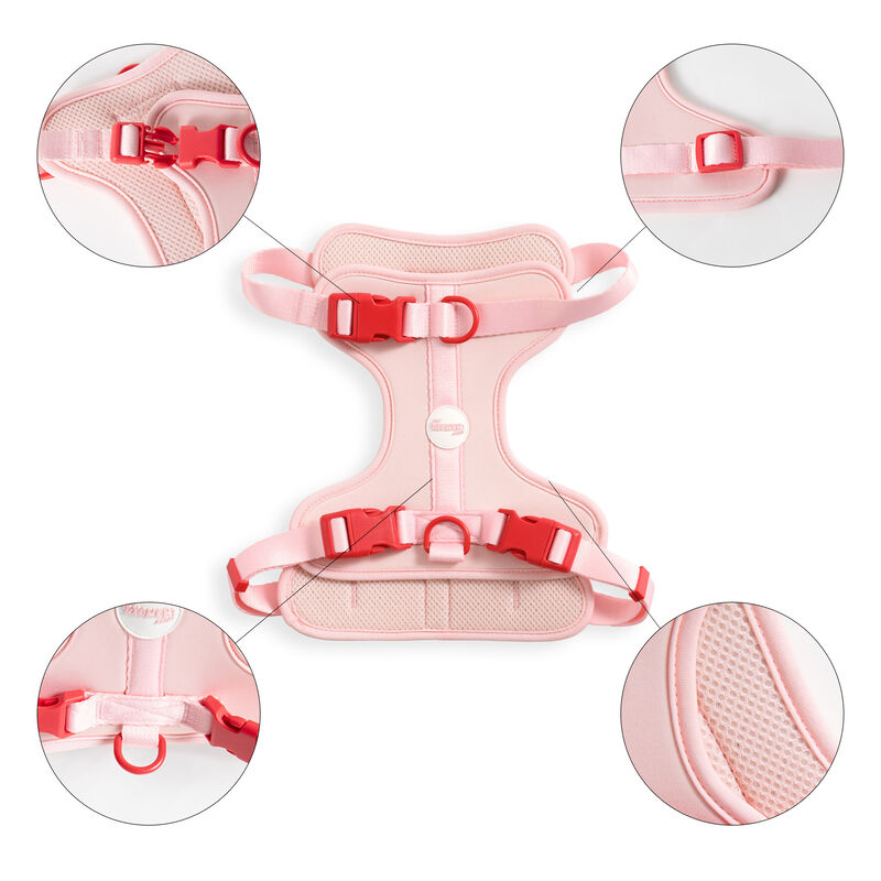 Arlo Adjustable Soft Padded No Pull Pet Harness with 3 Buckles and 3 Leash Clips