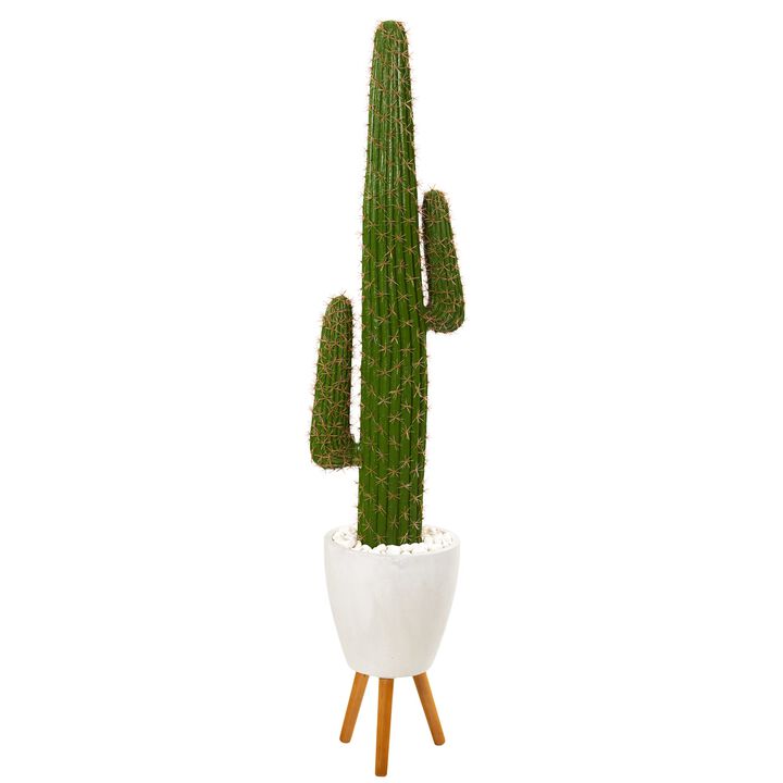 HomPlanti 5.5" Cactus Artificial Plant in White Planter with Stand