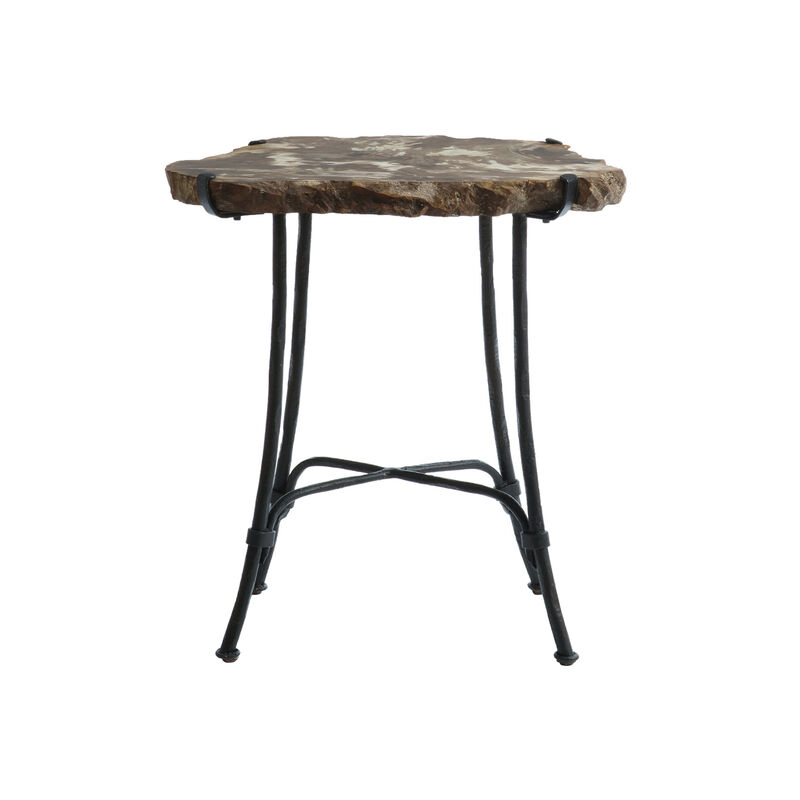 Interiors Petrified Side Table