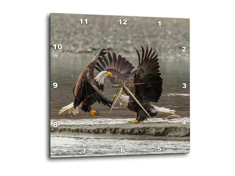 Bald Eagle Bird Of Prey Alaska Chilkat Wall Clock 15 Inch Silent Home Decor image number 0
