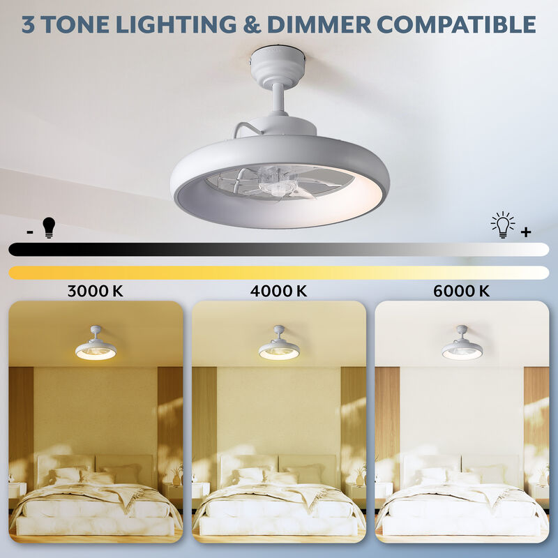 Loren Modern Contemporary 6-Speed Metal Mobile-App/Remote-Controlled Dimmable Smart Integrated LED Ceiling Fan