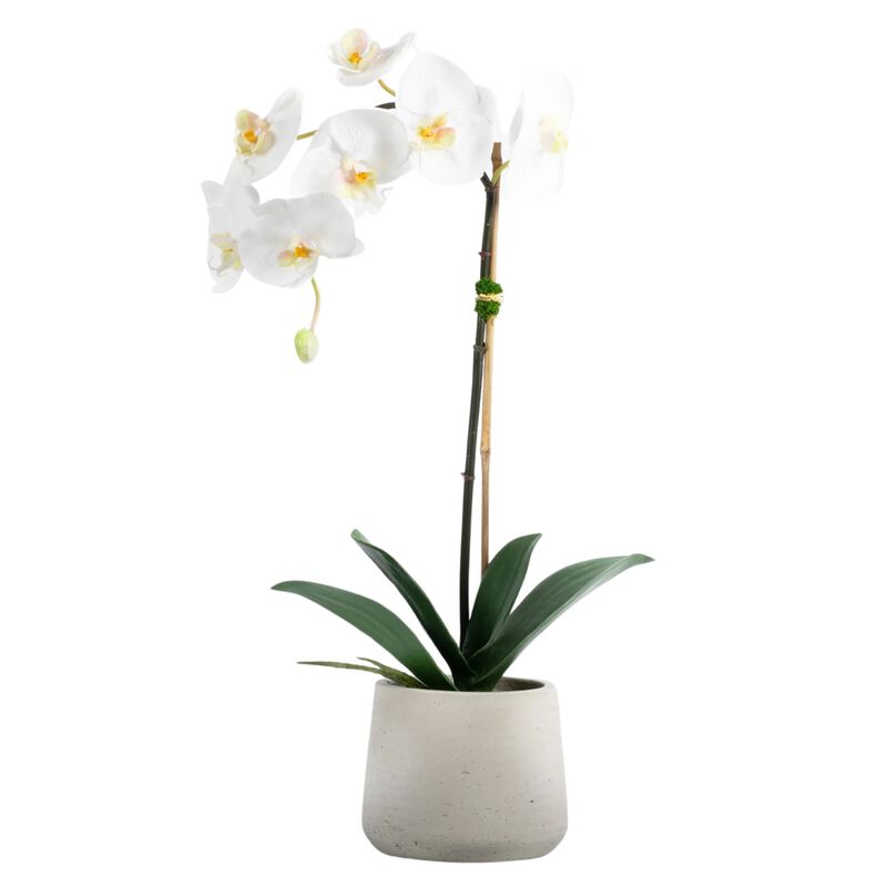 Artificial Orchid Plant White Orchid Plant