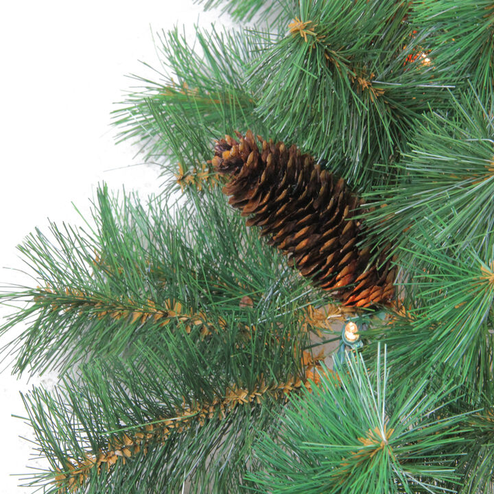 9' x 12" Pre-Lit Royal Oregon Pine Artificial Christmas Garland  Clear Lights