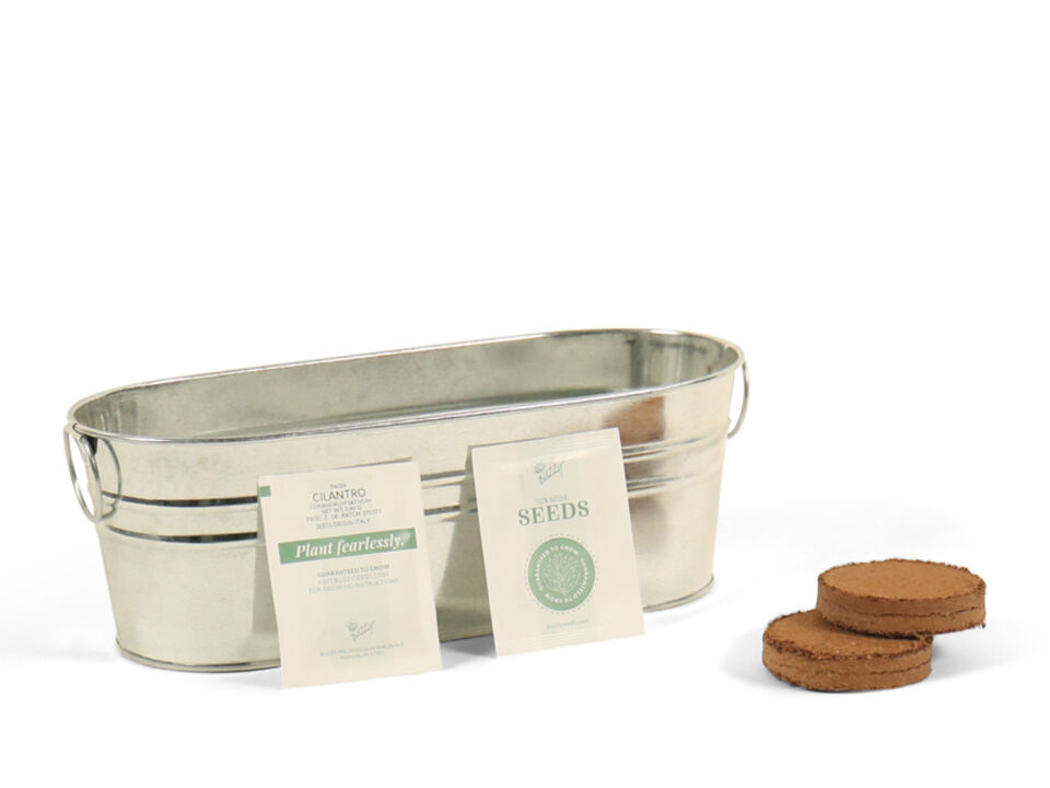 Taco Night Herb Bucket