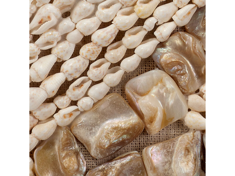 Big Wave Shell Wall Art