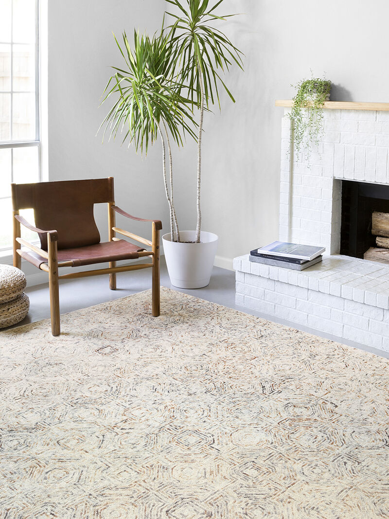 Ziva ZV02 Multi 3'6" x 5'6" Rug