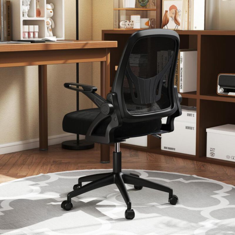 Hivvago Ergonomic Computer Desk Chair with Lumbar Support and Flip-up Arms
