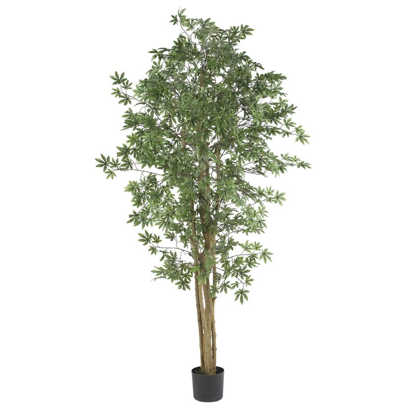 Hivvago 6 Feet Japanese Maple Silk Tree