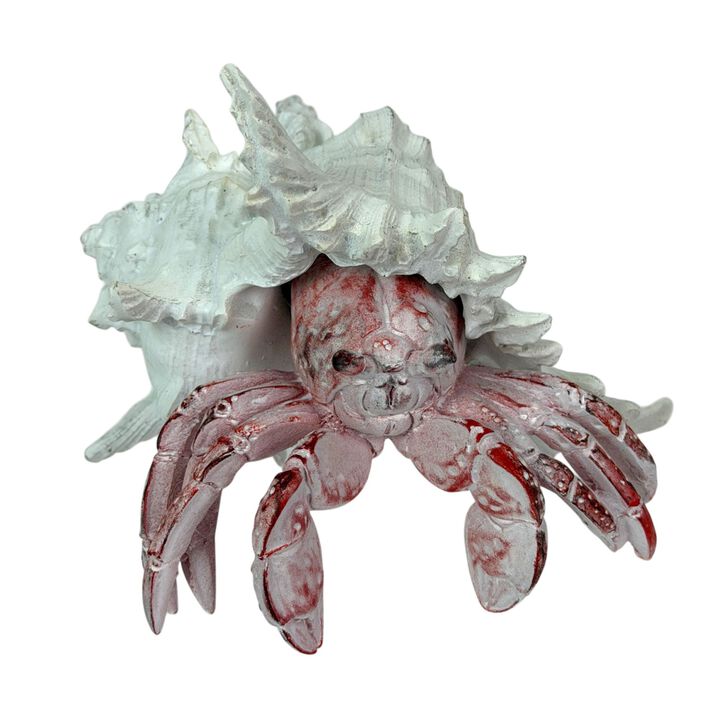 Resin Hermit Crab Statue Red Whitewashed Shell Coastal Figurine 525 In