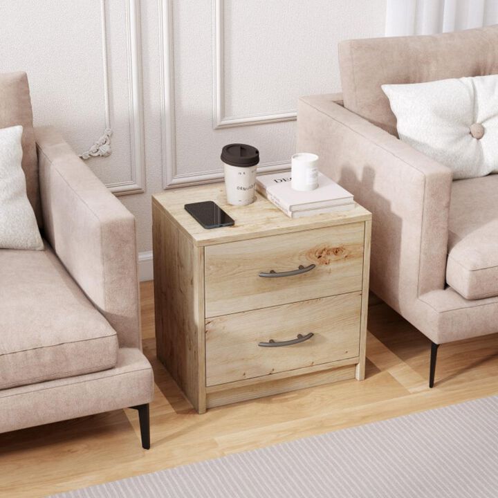 Hivvago 2 Drawer Nightstand with Storage for Living Room