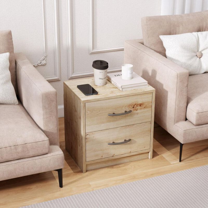 Hivvago 2 Drawer Nightstand with Storage for Living Room