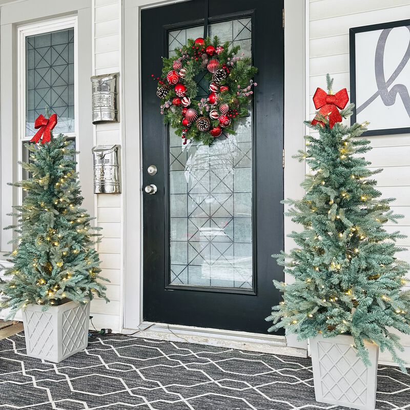 4.5 Foot Barcelona Blue Spruce Potted Tree image number 8