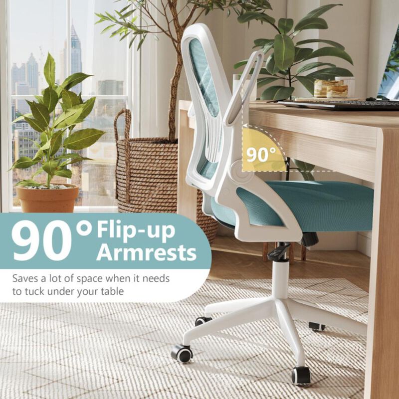 Hivvago Ergonomic Computer Desk Chair with Lumbar Support and Flip-up Arms