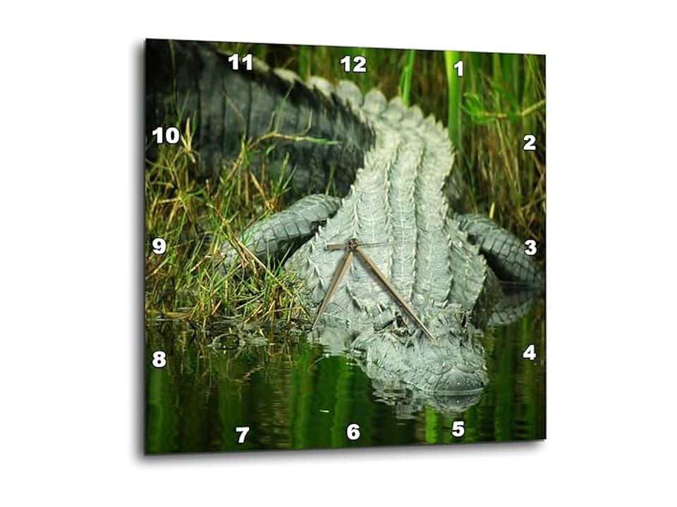 Grow Them Here Florida Alligator Wall Clock 10 Inch Home Decor