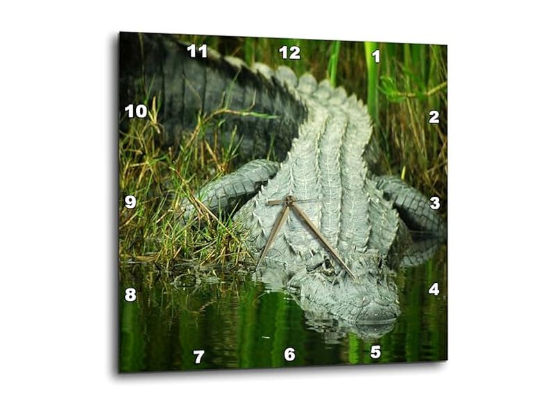 Grow Them Here Florida Alligator Wall Clock 10 Inch Home Decor image number 0