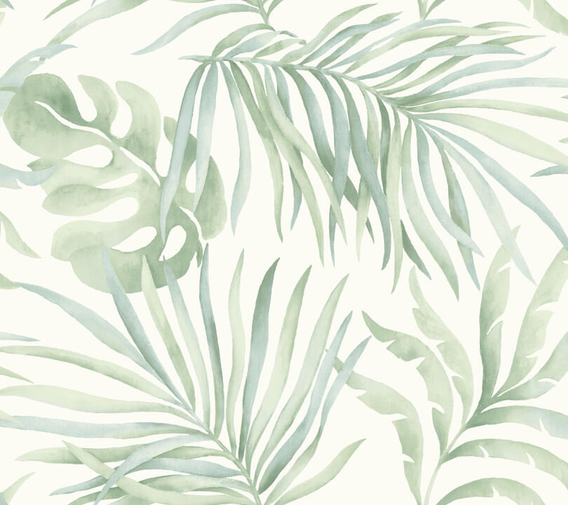 Paradise Palm Aloe Peel & Stick Wallpaper