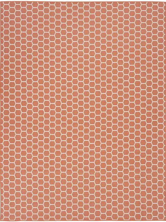 Twist Reversible TWS01 Coral 10' x 14' Rug
