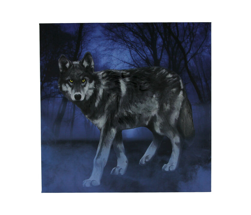 Lone Wolf In the Blue Misty Moonlit Forest Canvas Print