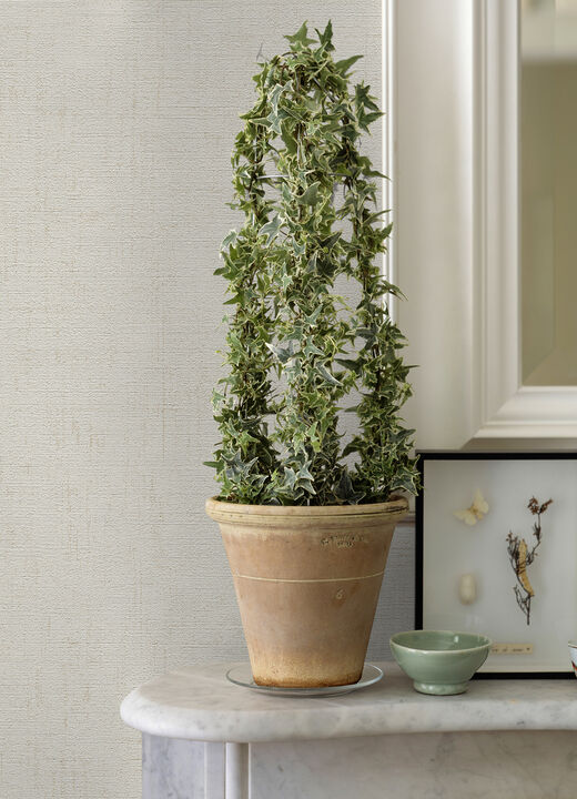 Ayala Off White Distressed Wallpaper