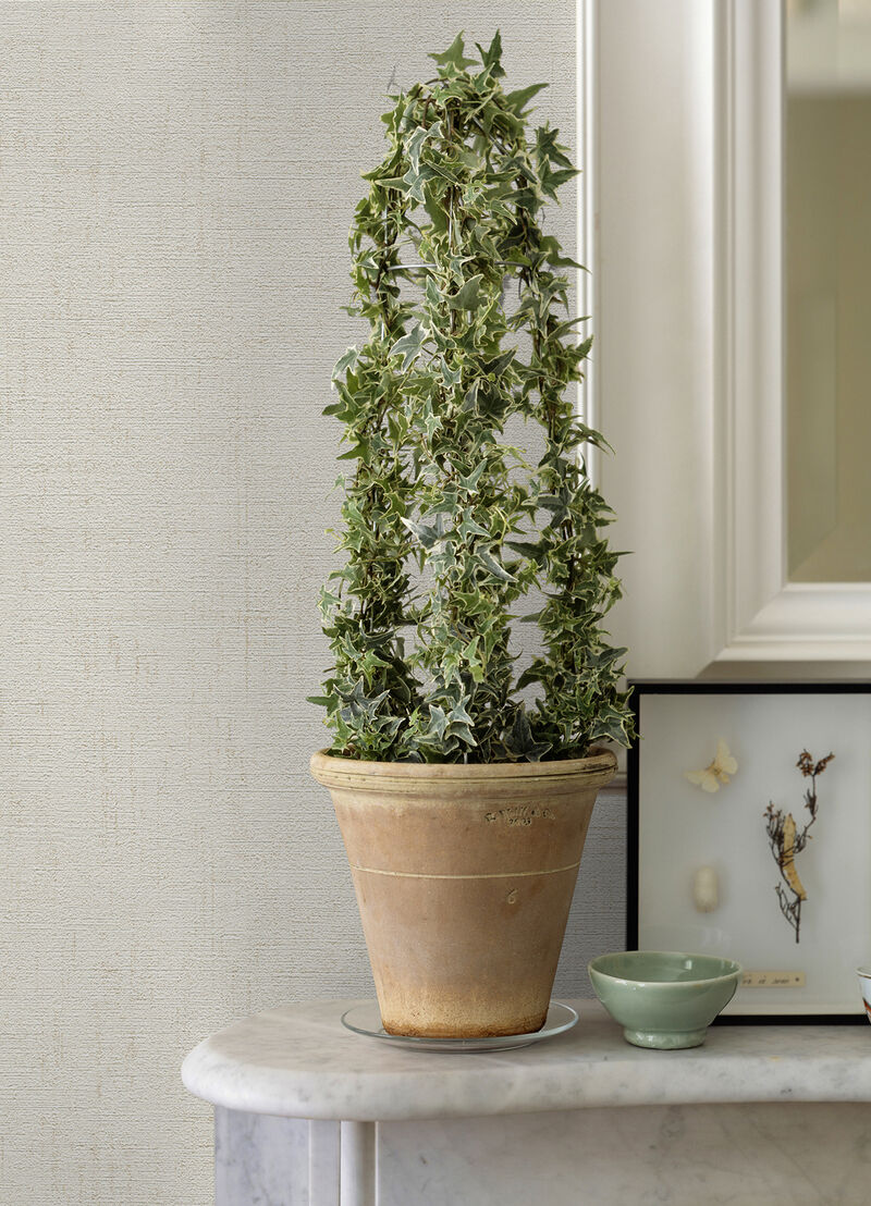 Ayala Off White Distressed Wallpaper image number 1
