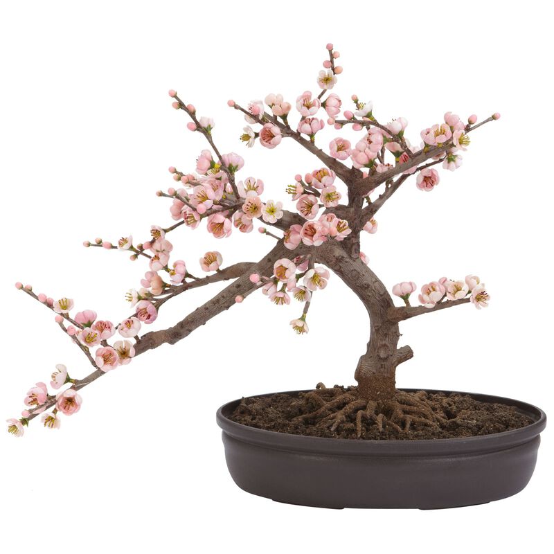 Hivvago Cherry Blossom Bonsai Silk Tree