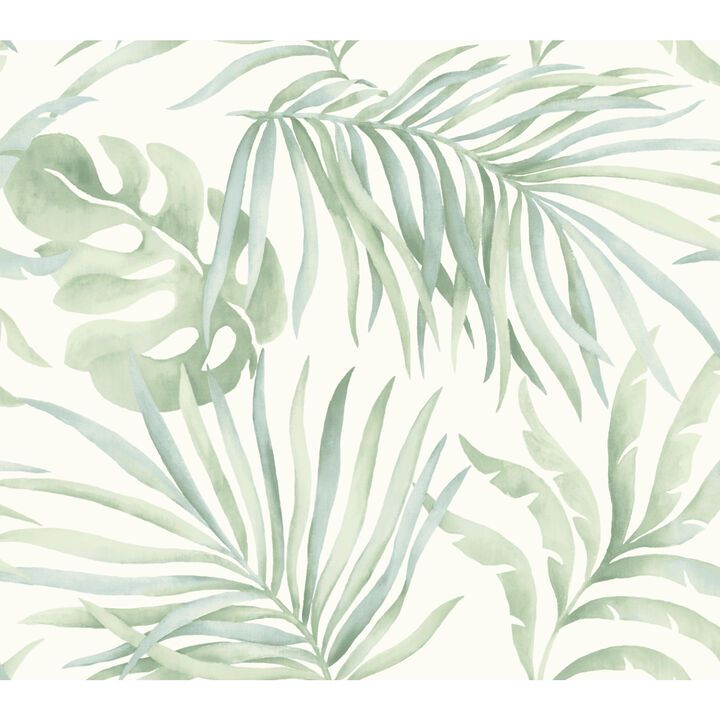 Paradise Palm Light Green Wallpaper (Set of 2)
