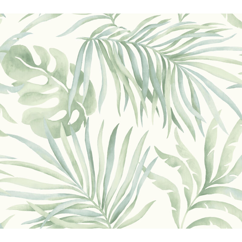 Paradise Palm Best Sellers Wallpaper image number 1