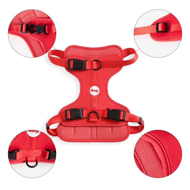 Arlo Adjustable Soft Padded No Pull Pet Harness with 3 Buckles and 3 Leash Clips