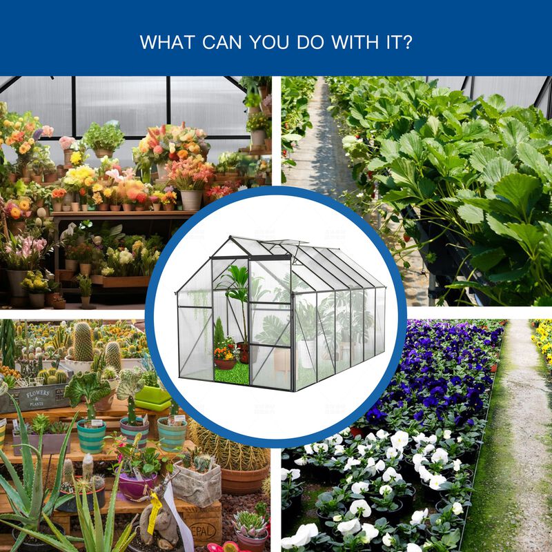 6x12 FT Polycarbonate Greenhouse Raised Base and Anchor Aluminum Heavy Duty Walk-in Greenhouses image number 8