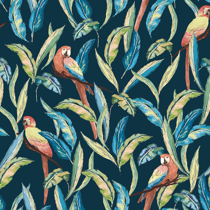 Timor Indigo Parrot Wallpaper