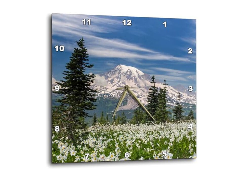 Washington Mount Rainier National Park Wall Clock 15 Inch Silent Home Decor