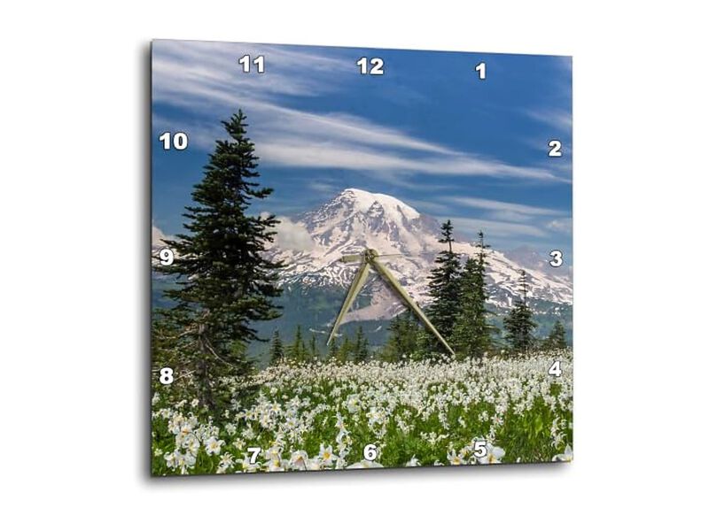 Washington Mount Rainier National Park Wall Clock 15 Inch Silent Home Decor image number 0