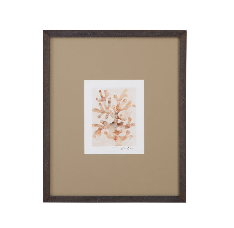 Parchment Coral Framed Prints (Set of 4)