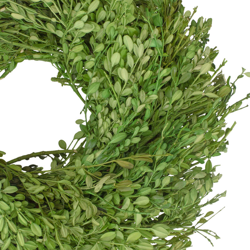 Green Foliage Artificial Spring Wreath  15-Inch image number 2