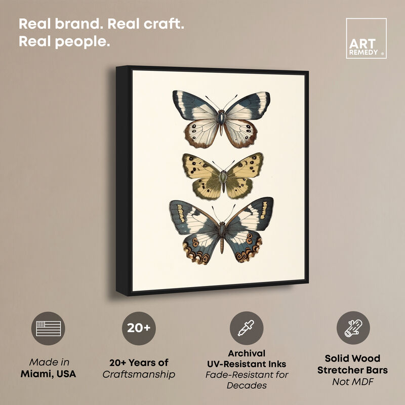 Triad of Wings II Animals Canvas Print by Art Remedy image number 2
