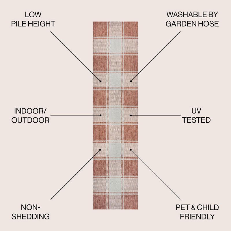 Sabine Traditional Farmhouse Bold Gingham Indoor/Outdoor Area Rug