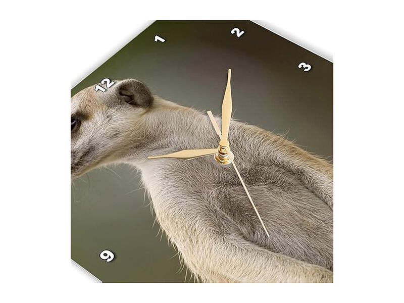 Namibia Keetmanshoop Meerkat Burrow Wall Clock 13 Inch Home Decor image number 3